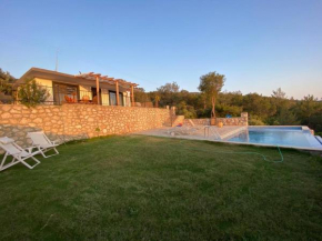 Villa Vedamari infinity pool and stunning view
